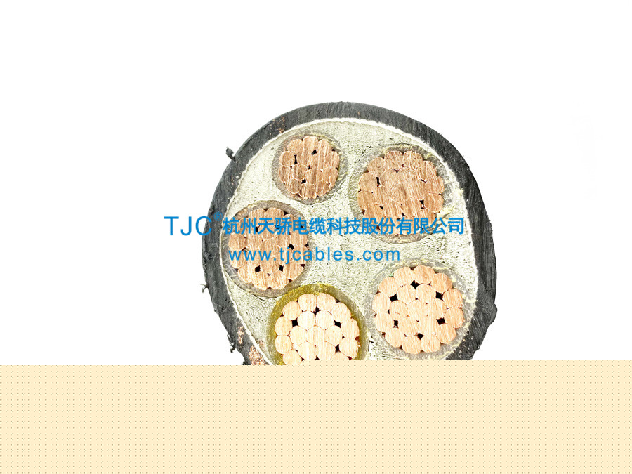 Power cable